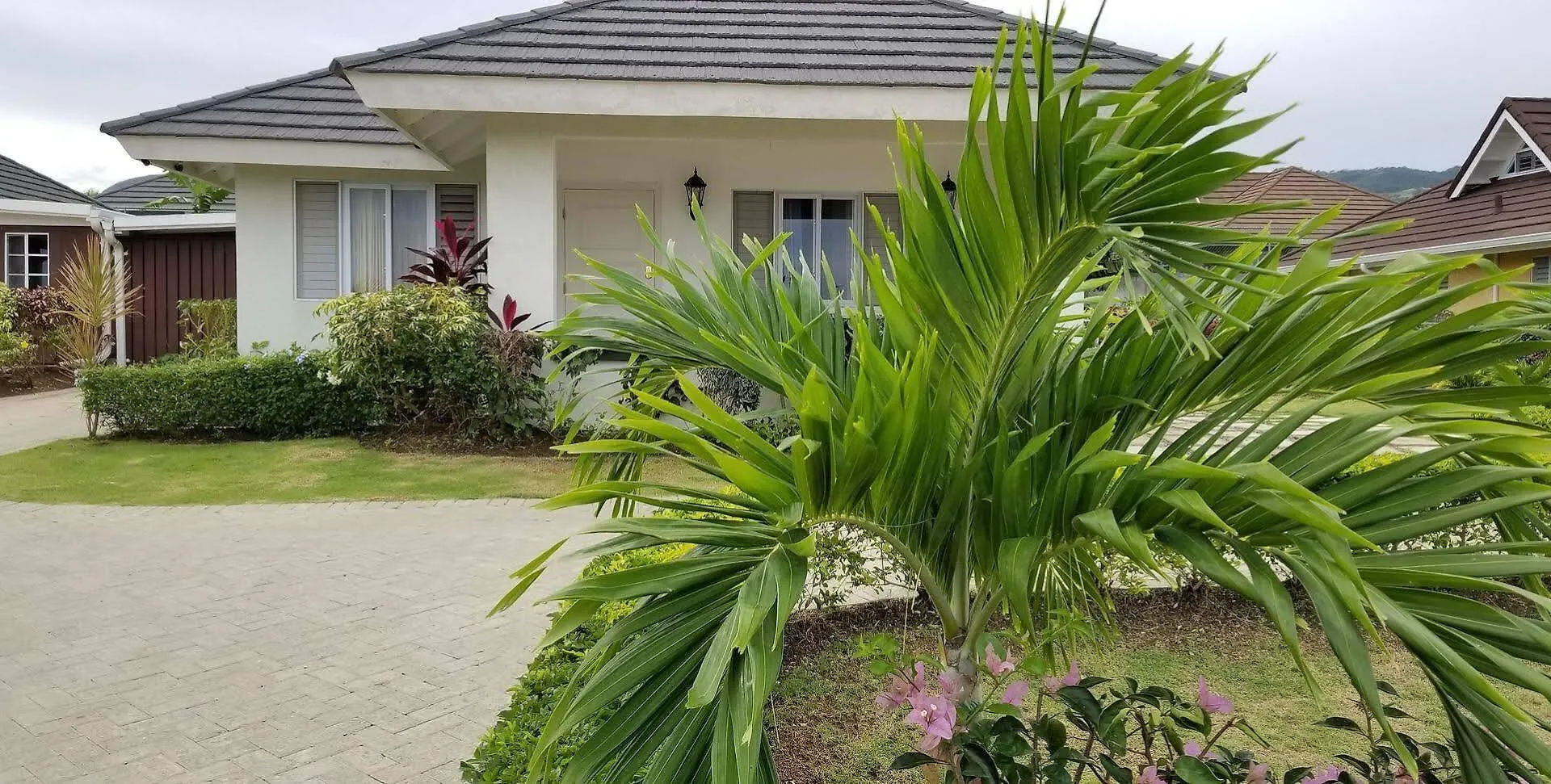 Saint Annʼs Bay Ocho Rios Villa At Coolshade V ג'מייקה